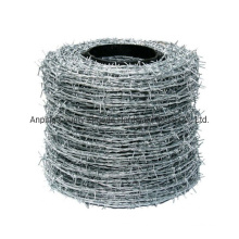 Made in China Electro Galvanized Barbed Wire Factory in Amazon